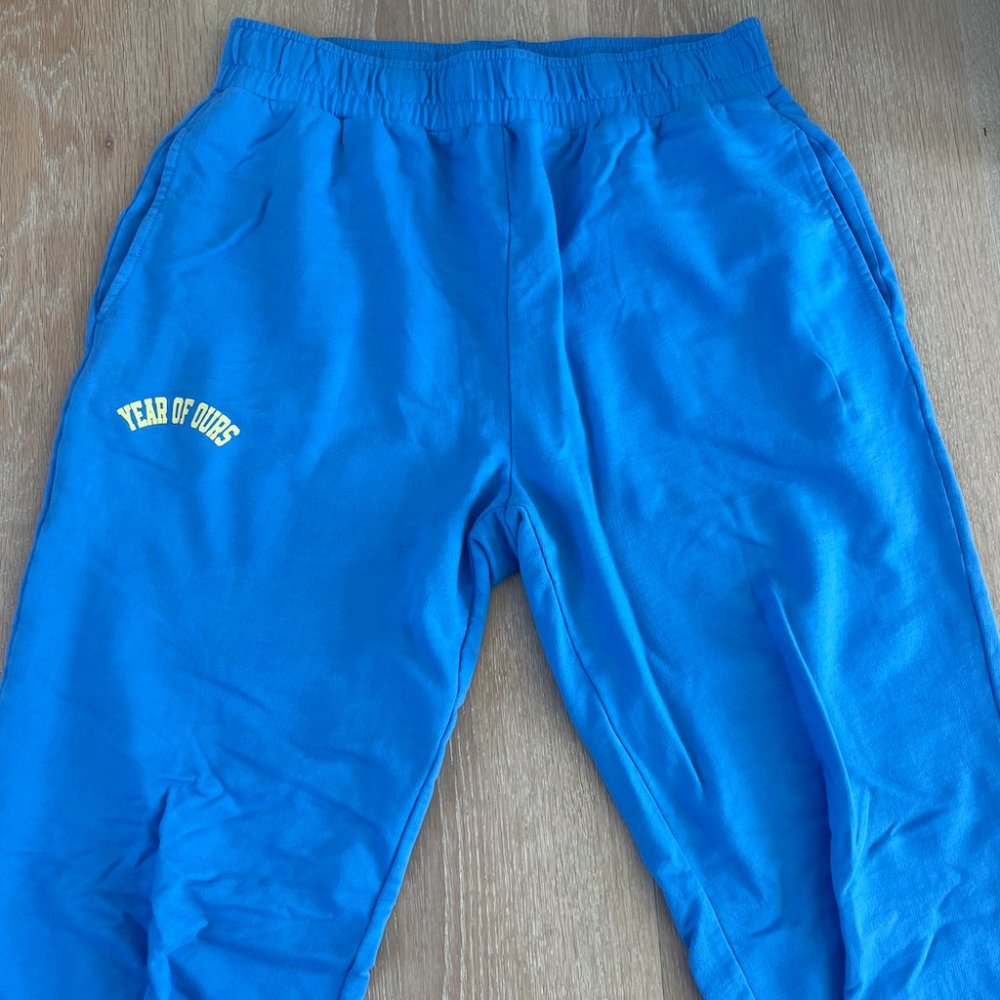 Urban Outfitters Year of Ours Sweatpants
